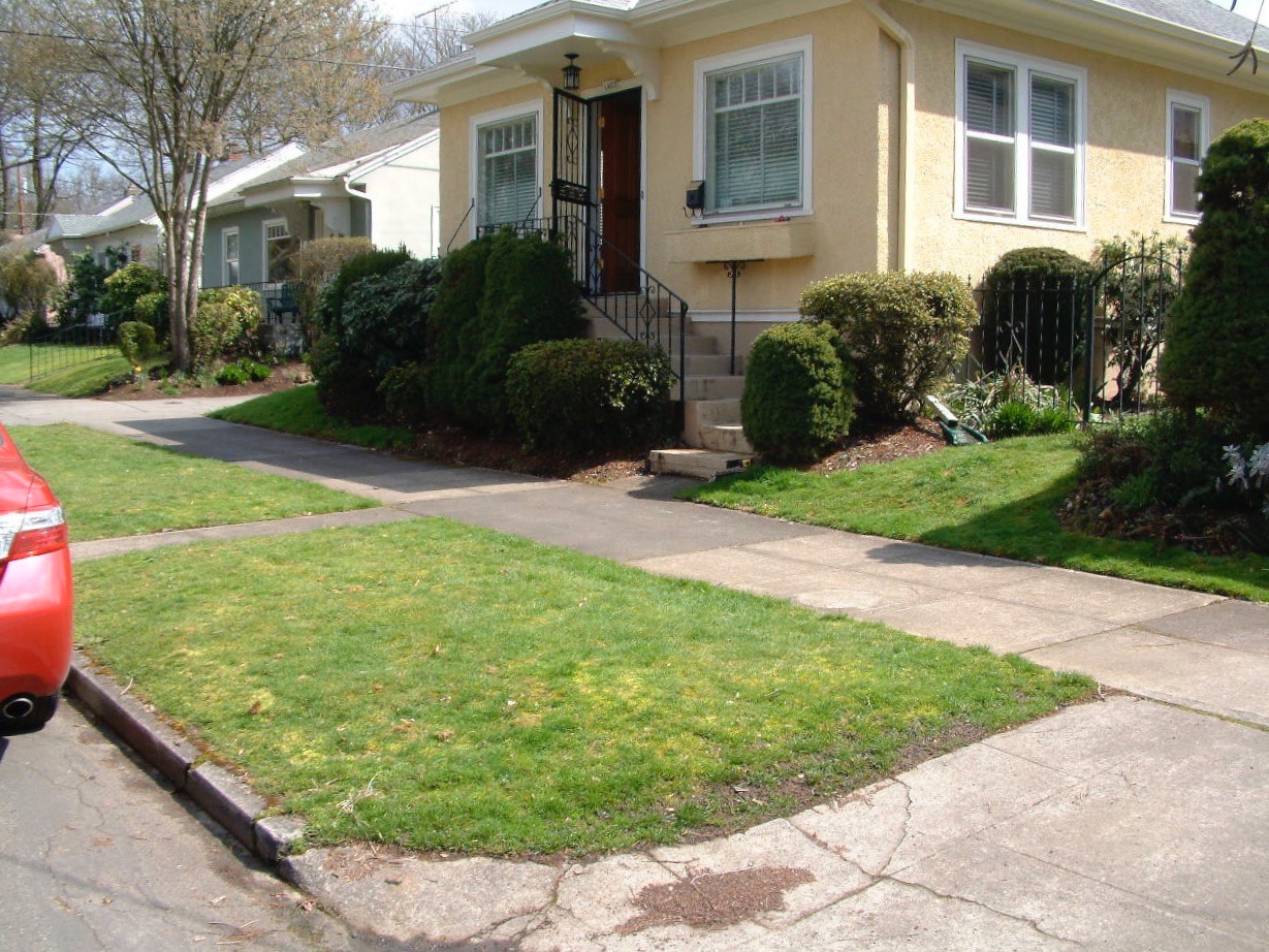 Before & After Gallery 15