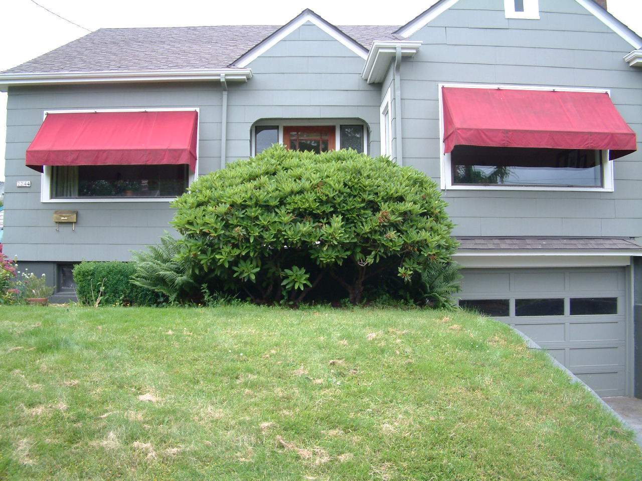 Before & After Gallery 1