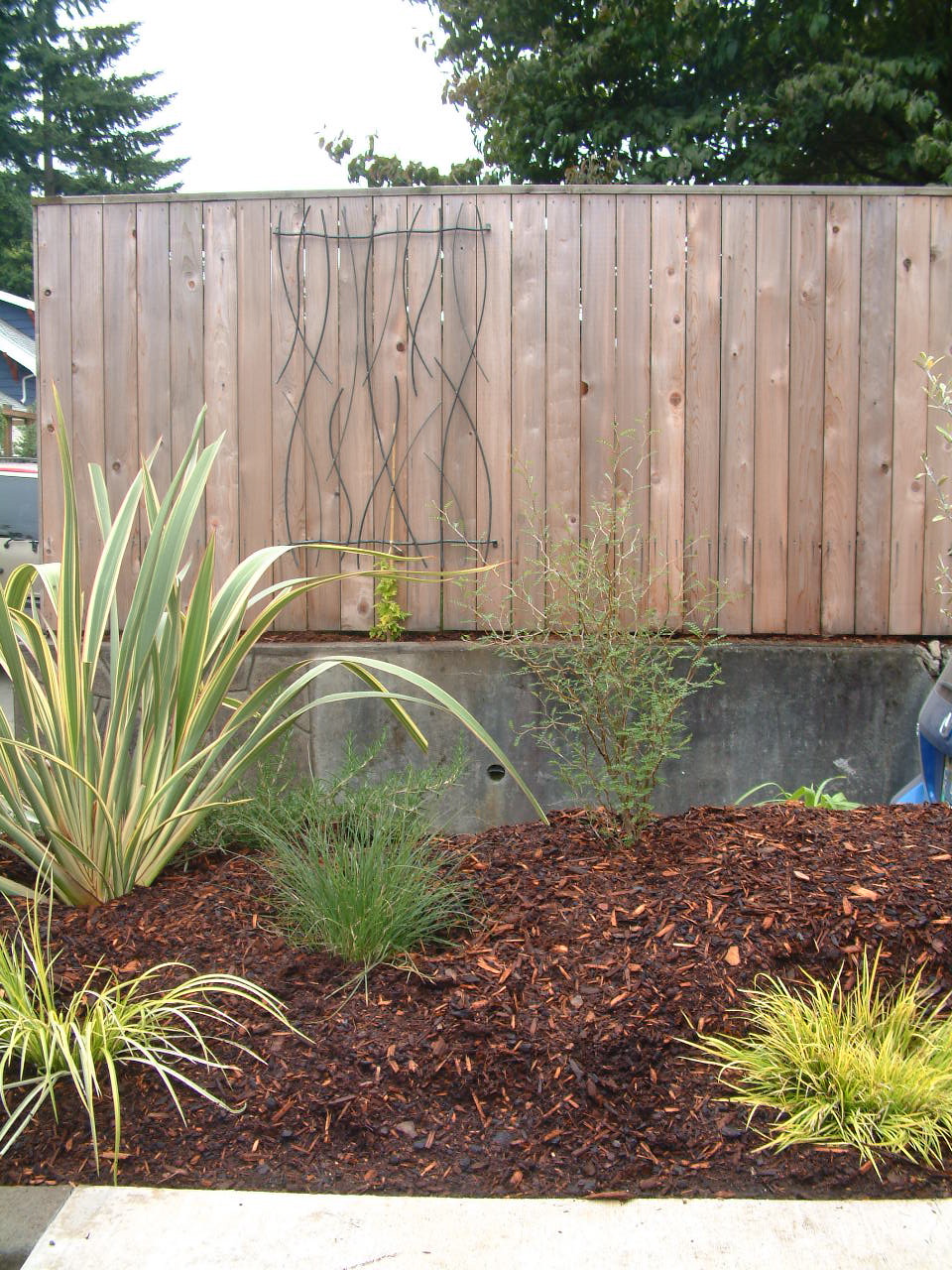 Before & After Gallery 36