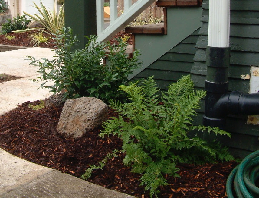 Before & After Gallery 34