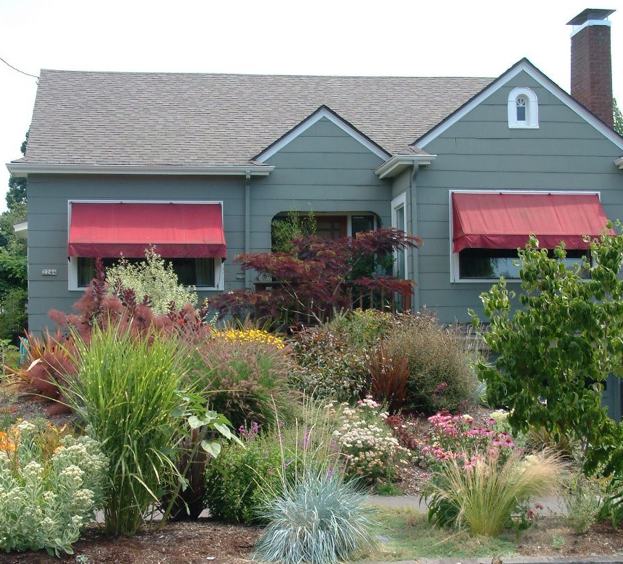 Before & After Gallery 2