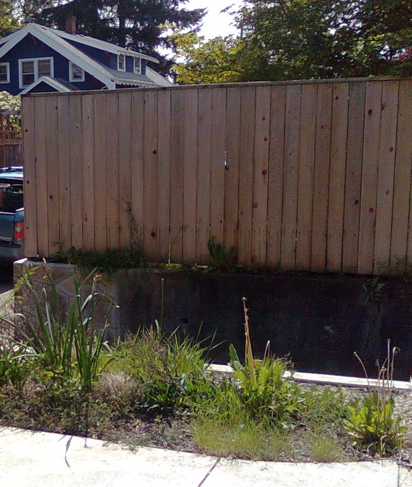 Before & After Gallery 35