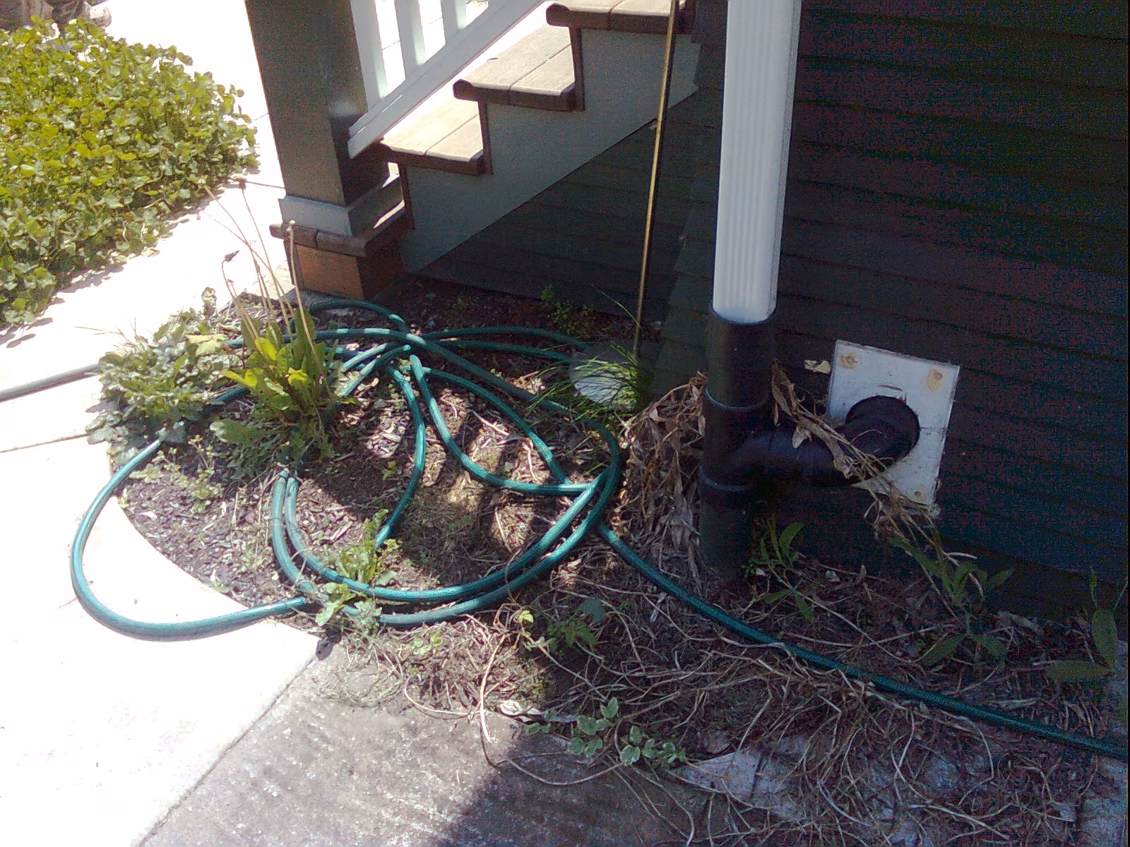 Before