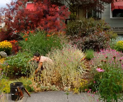 Garden landscape