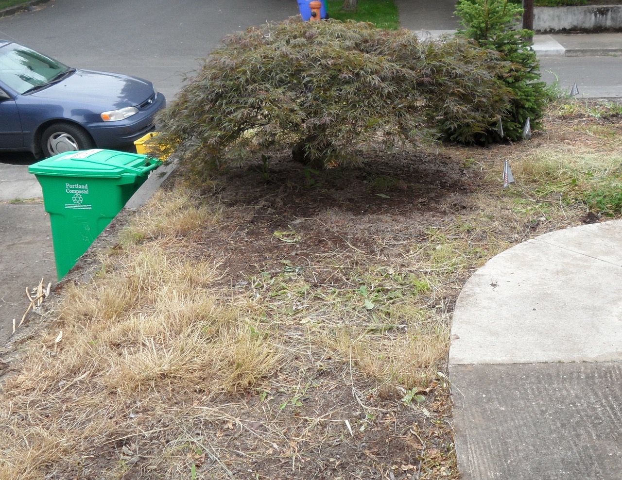 Before & After Gallery 33